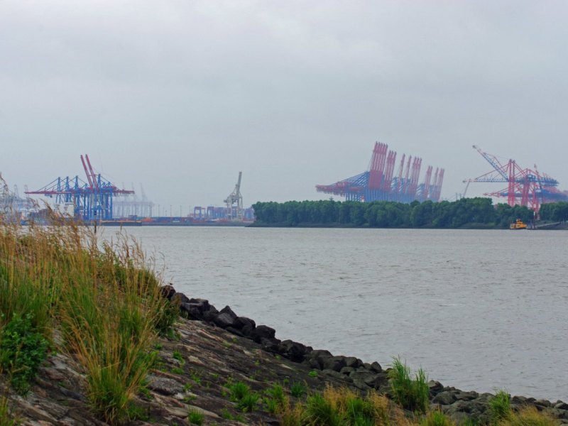 Wetter in Hamburg Sommer Wochenende Schleswig-Holstein Regen Schauer Gewitter Nordsee