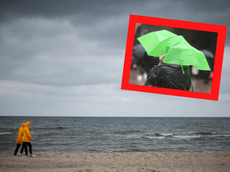 Wetter in Schleswig-Holstein.png
