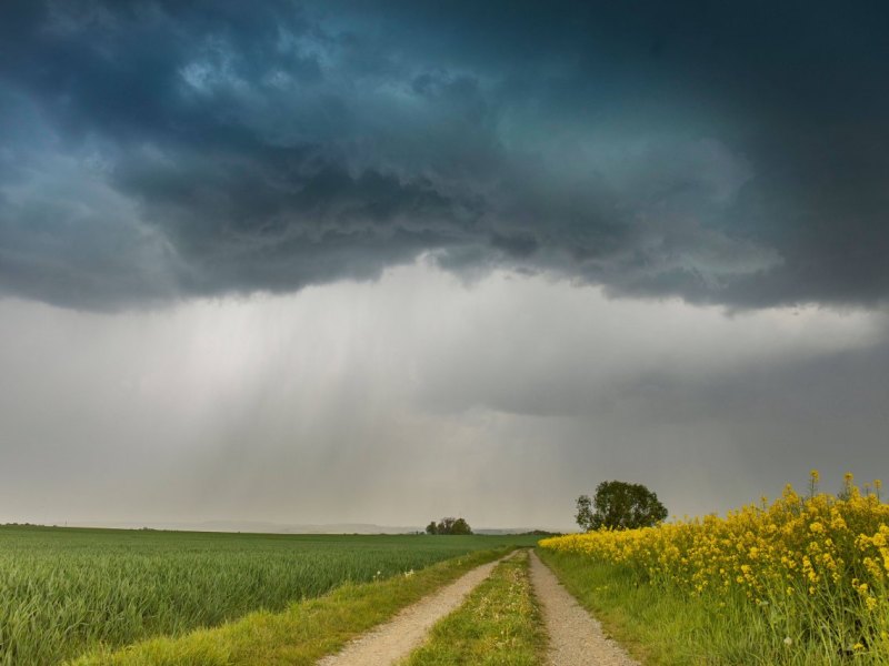 Wetter.jpg