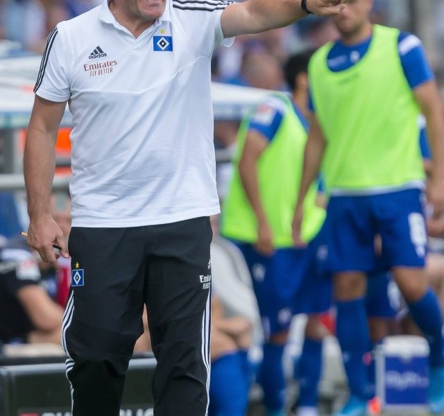 hamburger-sv.jpg