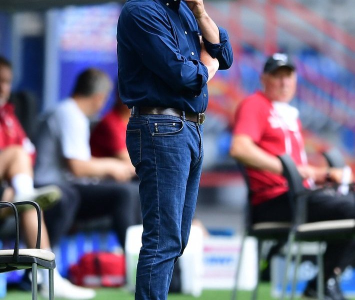 hamburger-sv-dieter-hecking