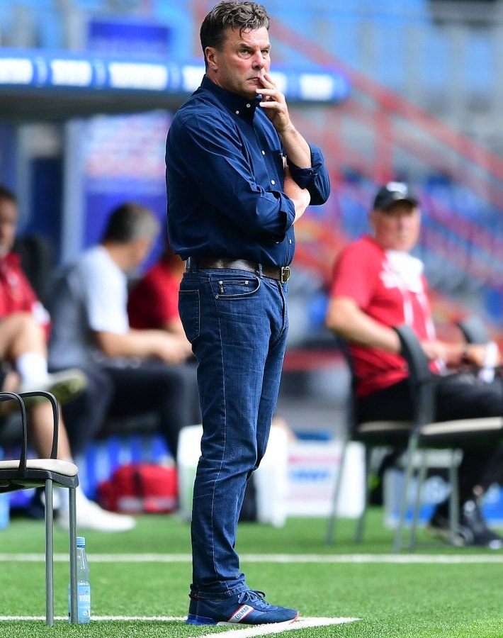 hamburger-sv-dieter-hecking