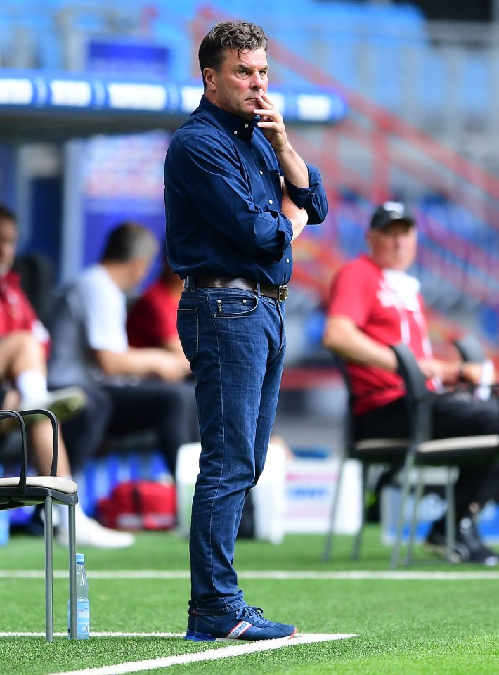 hamburger-sv-dieter-hecking