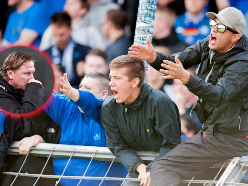 hamburger-sv-gisdol-markus.jpg