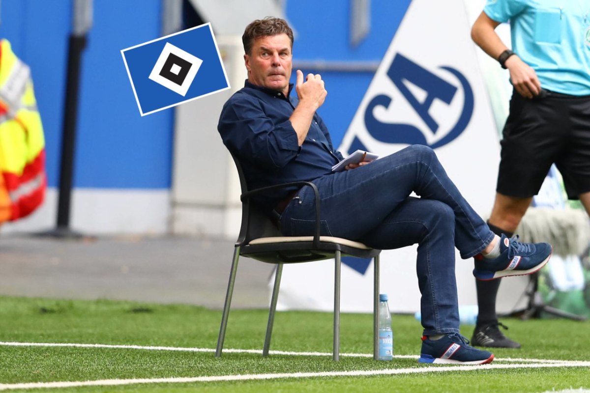 hecking-hsv