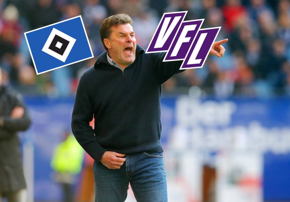 hsv-hamburg-osnabrück-hecking