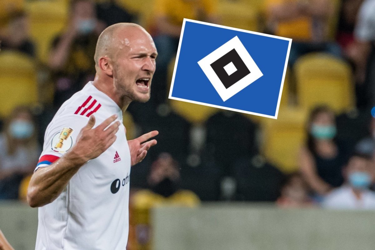 hsv-hamburger-sv-leistner