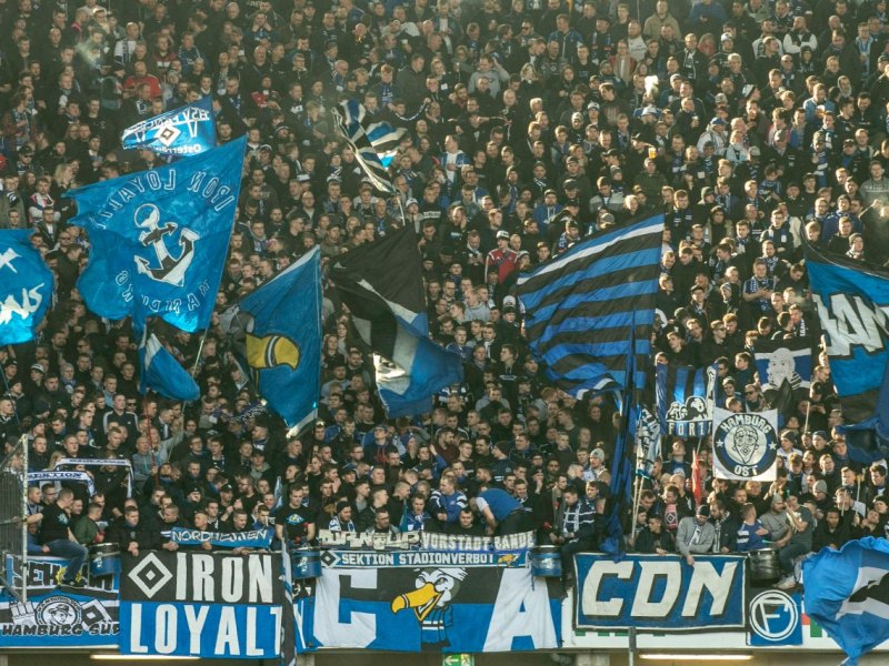 hsvfans.jpg