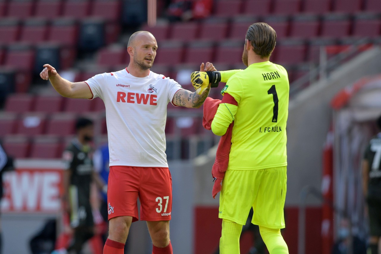 Wird Leistner beim HSV direkt Leistungsträger?