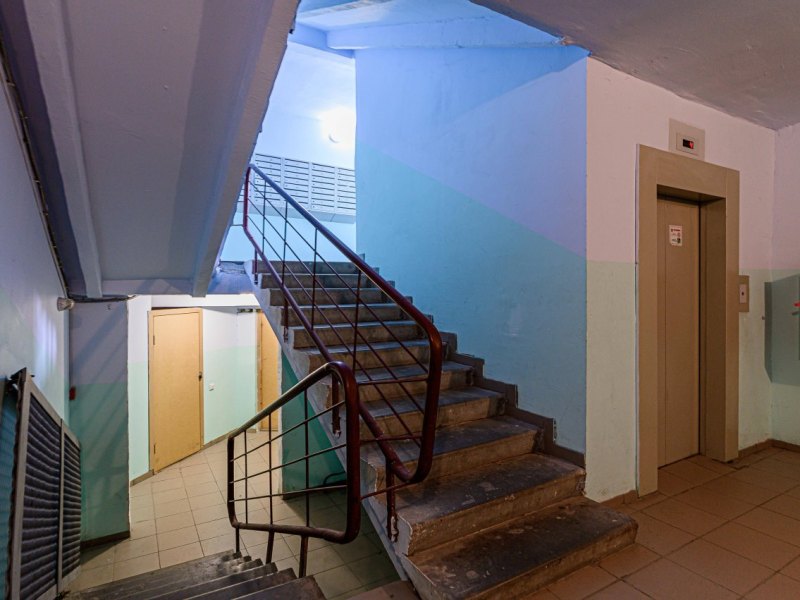 imago0101882096h.jpg