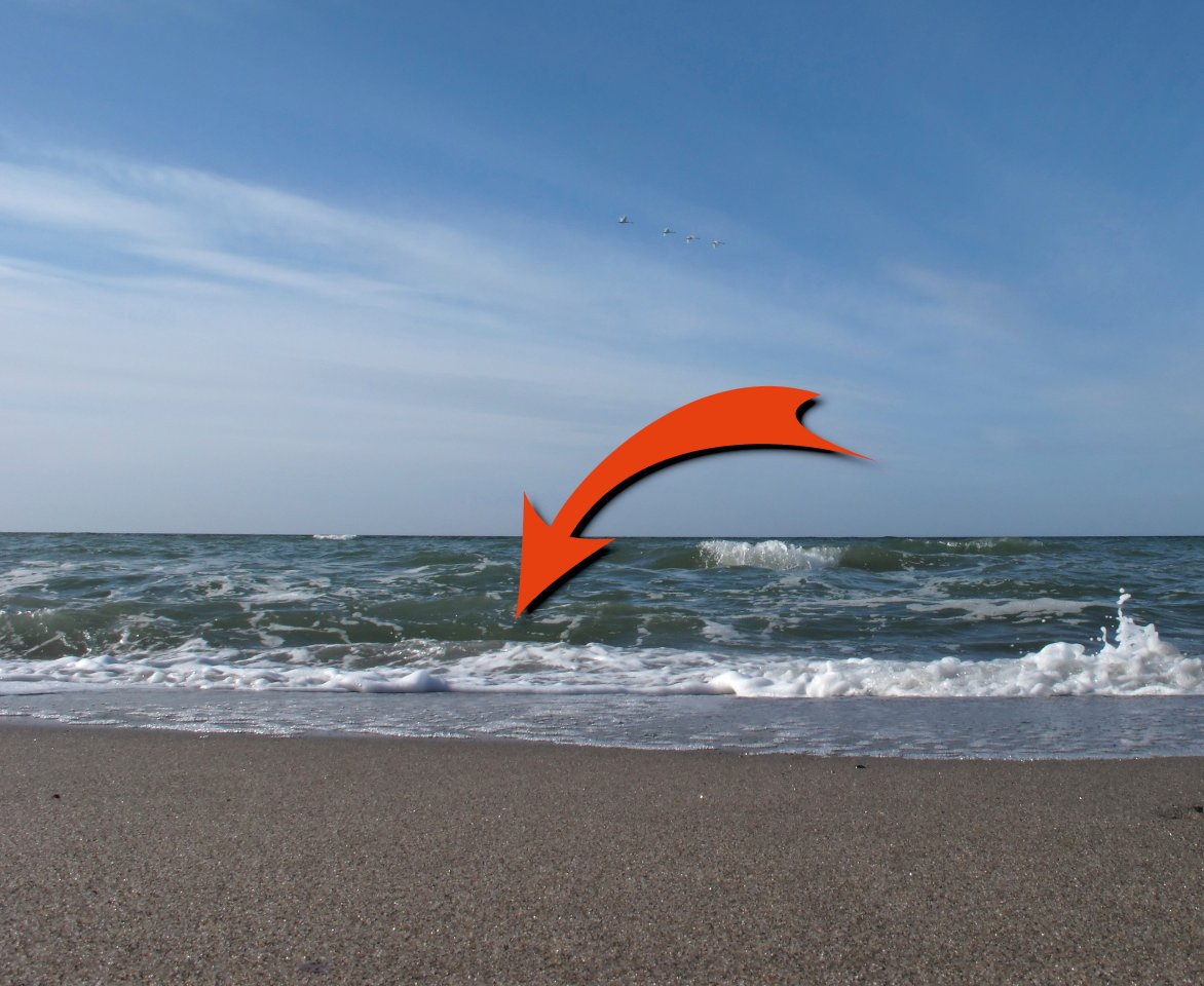 ostsee seestern.jpg