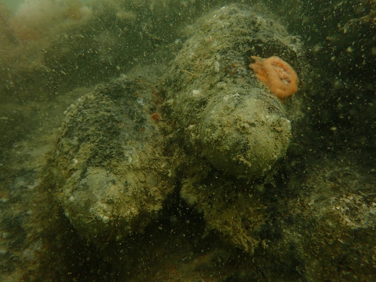 Die Bilder zeigen Granaten einer Mk-IX Schiffskanone auf einem Wrack vor der belgischen Küste.