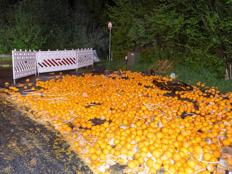 20210511_JOTO_Orangen_NeuWulmstorf_001.jpg