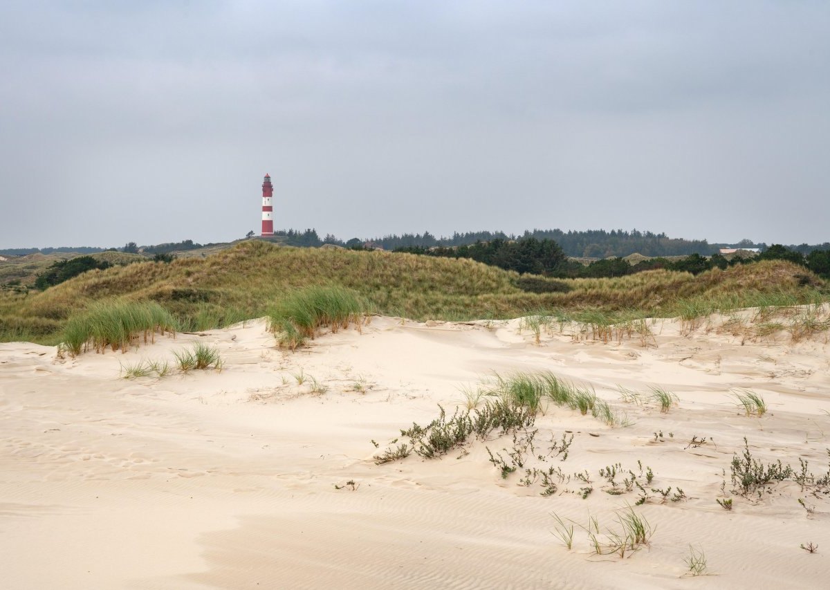 Amrum_Ferienhaus.jpg