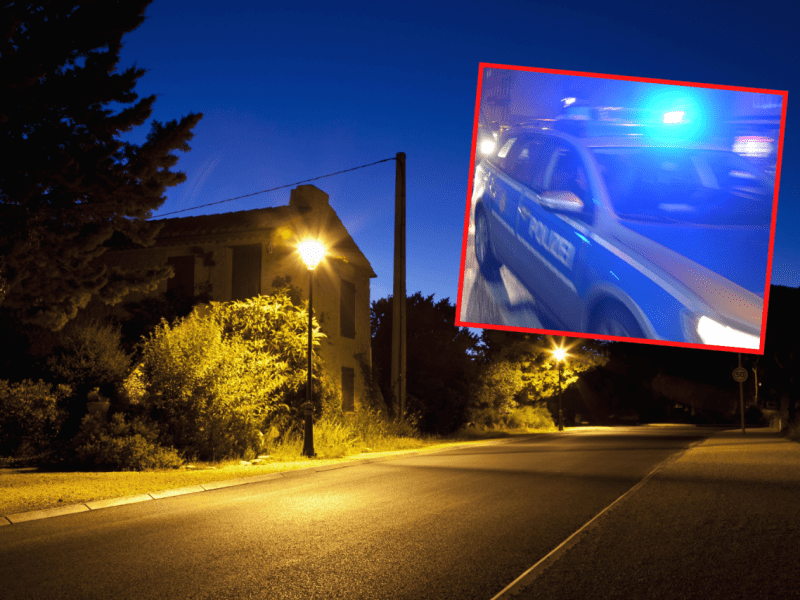 Bremen Polizei Einsatz Kuh Kalb Hugo Lasso.png