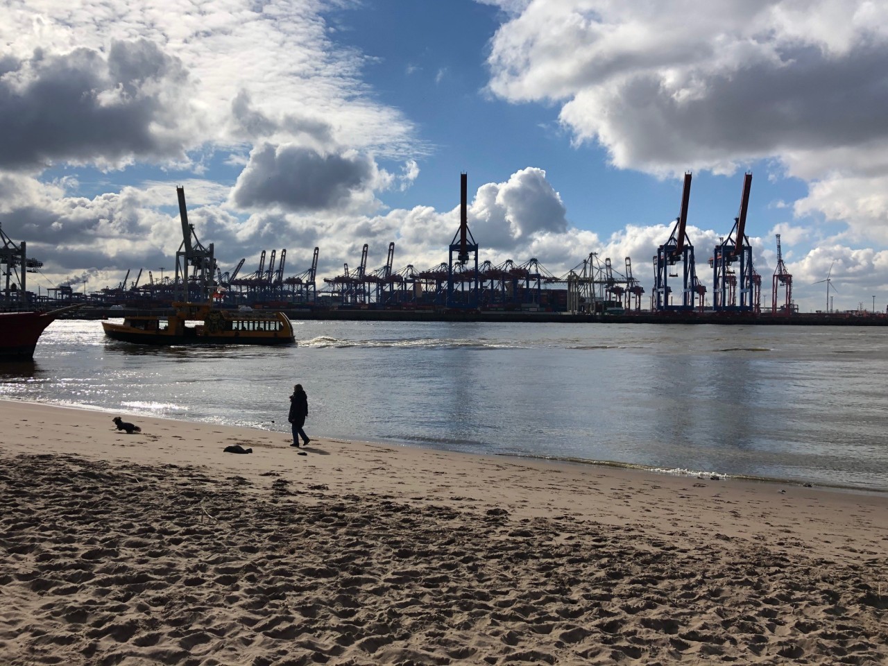 Am Elbstrand sorgen viele Besucher für ein großes Problem. 