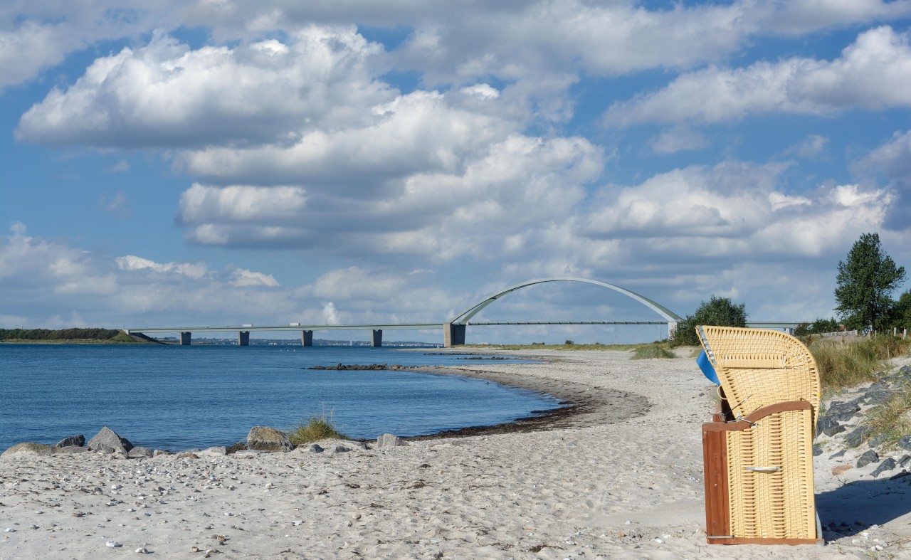 Auf Fehmarn bot sich Besuchern ein trauriger Anblick (Symbolbild).