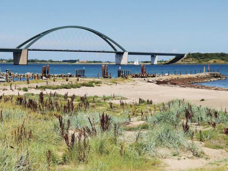 Fehmarn Insel Burgtiefe Aussichtsturm Kronkorken Steuergeldverschwendung Schwarzbuch Facebook