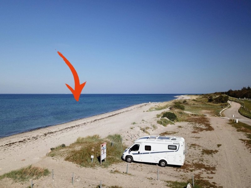 Fehmarn Schweinswale.jpg