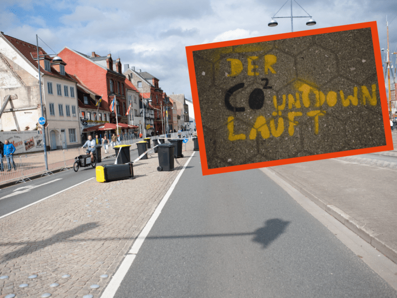Flensburg Klimaschutz Ziele CO2 neutral Appell Olav Hohmeyer Universität Klimakonferenz