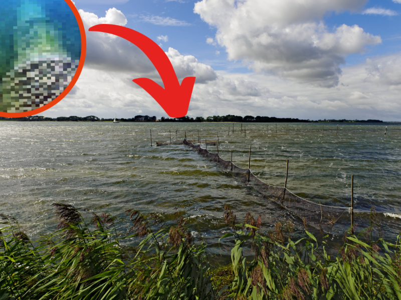 GeisternetzeOstsee.png