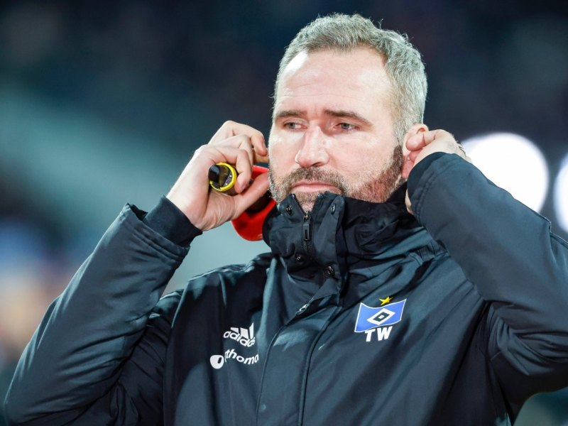 HSV Hamburger SV.jpg