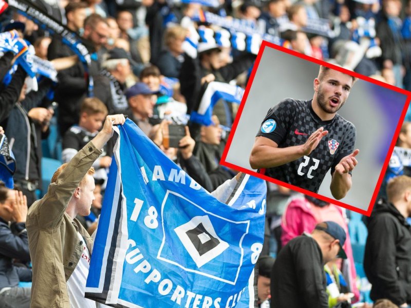 HSV-Vuskovic.jpg