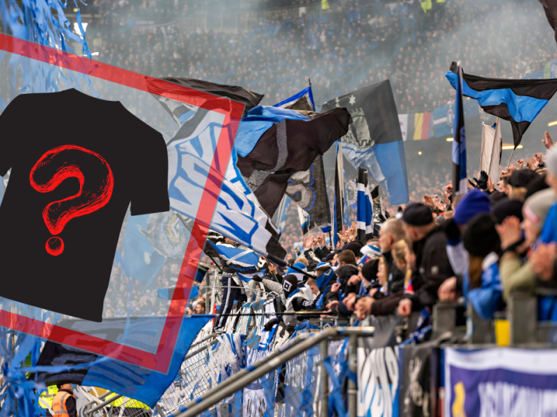 HSV neues Trikot.png