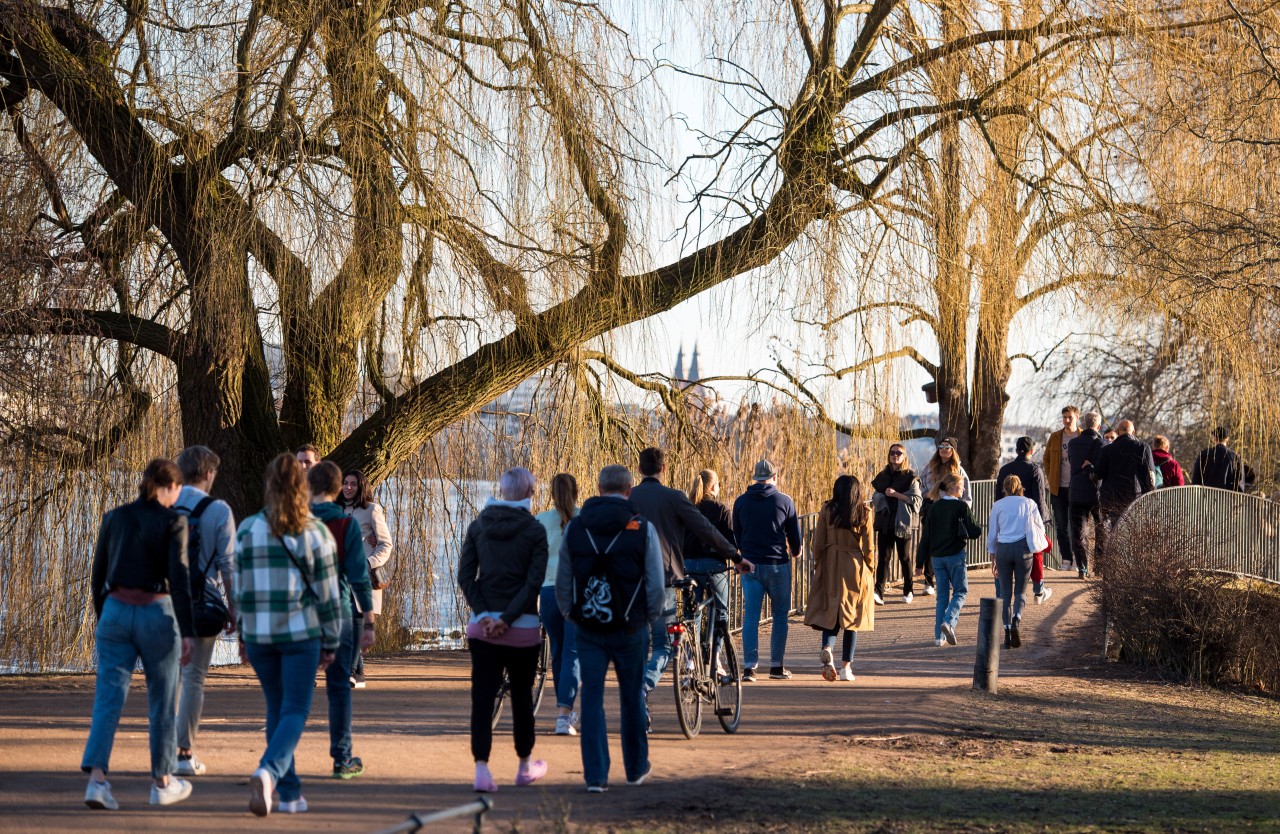 Das Extrem-Hoch bringt viel Sonnenschein nach Hamburg: Am Wochenende steht einen Spaziergang an der Alster wenig im Weg.