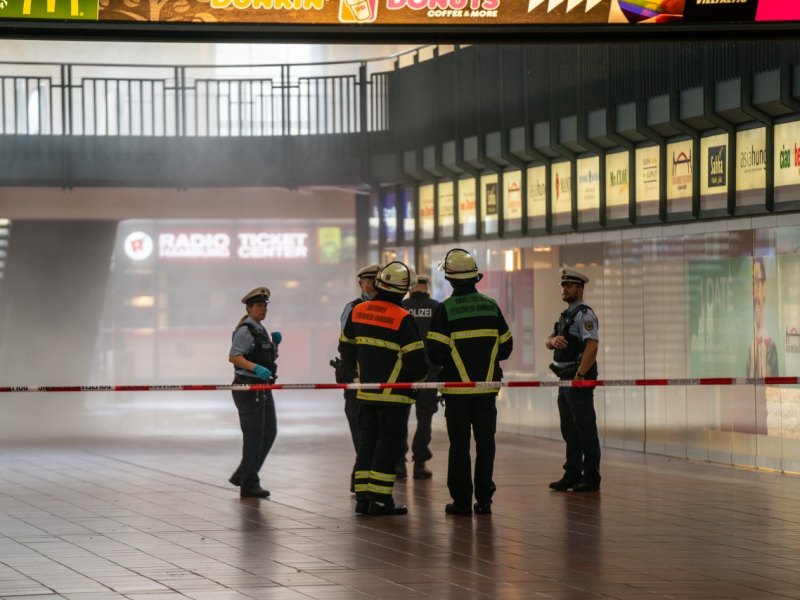 Hamburg Hauptbahnhof.jpeg