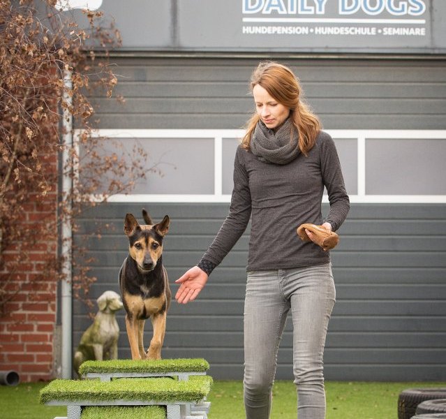 Hamburg-Hund.jpg
