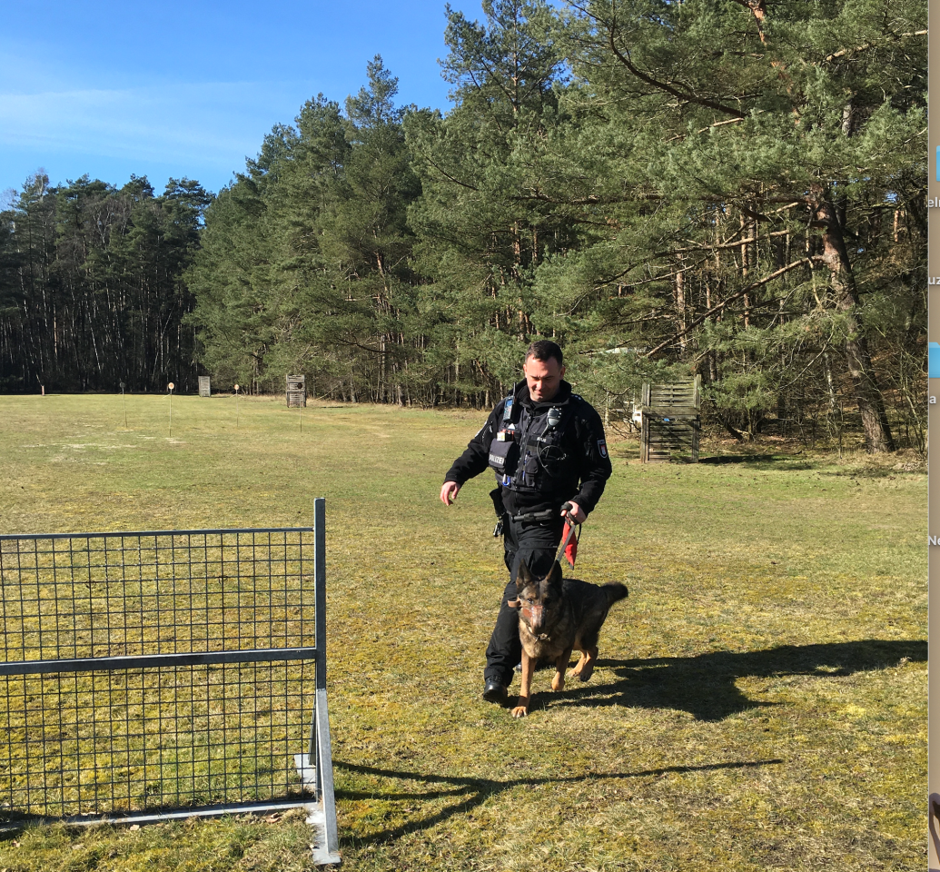 Hund in Hamburg: Jan Kulig mit seiner Edda.