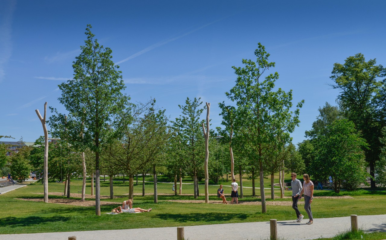 Im Lohsepark in der Hafencity in Hamburg erlebte ein Hundehalter einen schlimmen Vorfall (Symbolbild).