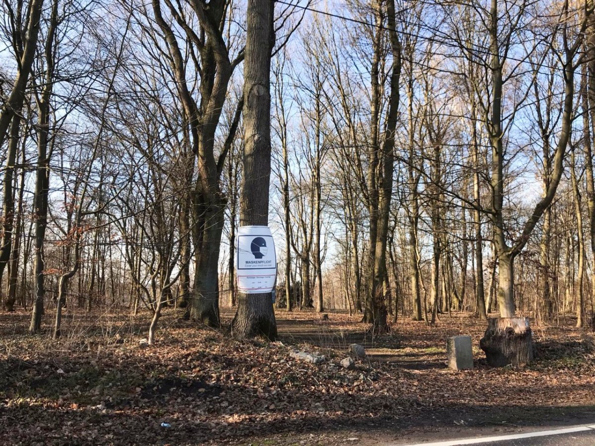 Hamburg Maskenpflicht Landungsbrücken Stadtpark Corona
