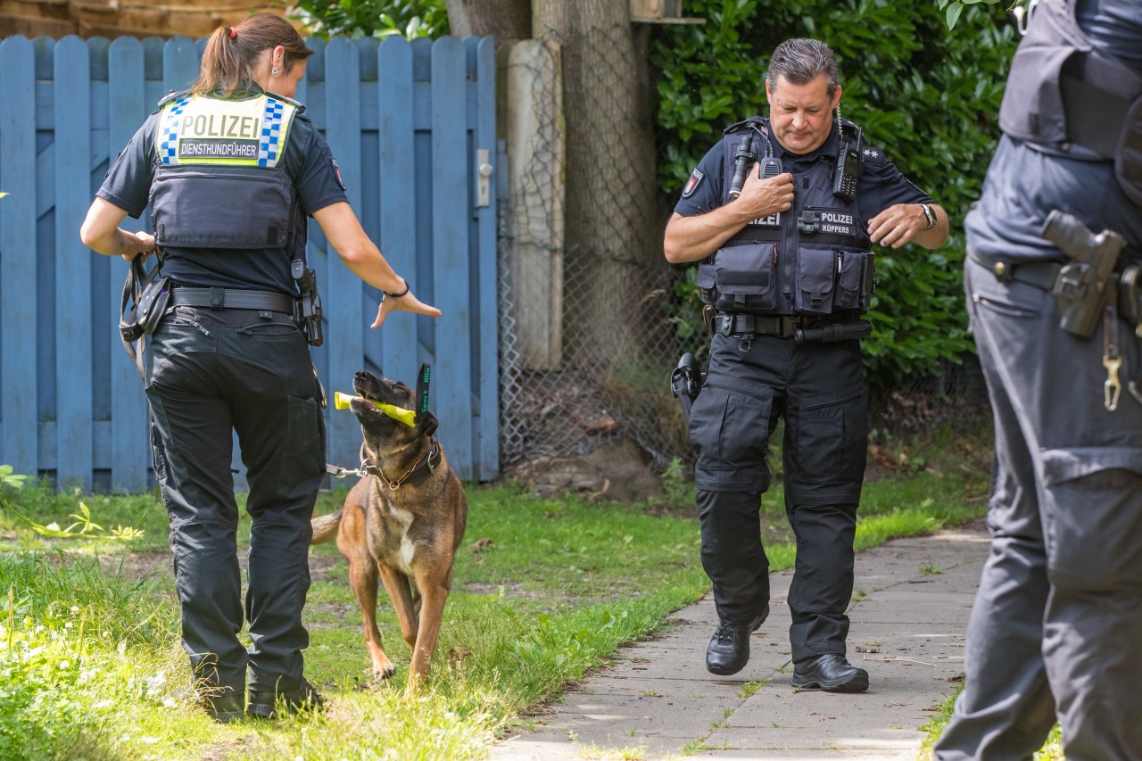 Einsatzkräfte sowie zwei Hunde der Polizei Hamburg suchen unter Hochdruck nach der Tatwaffe.