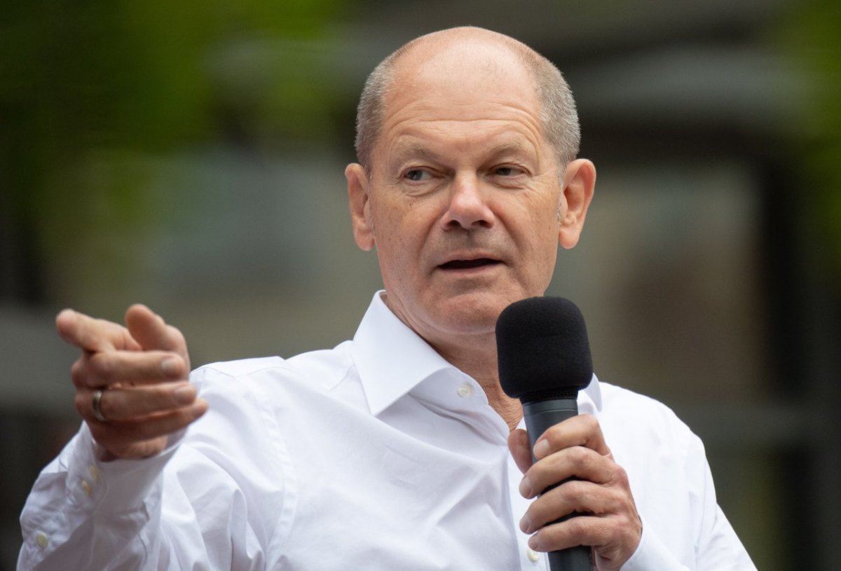 Hamburg SPD Olaf Scholz Umfrage Bundestagswahl CDU FDP Grünen Fabio De Masi  Kanzlerkandidat