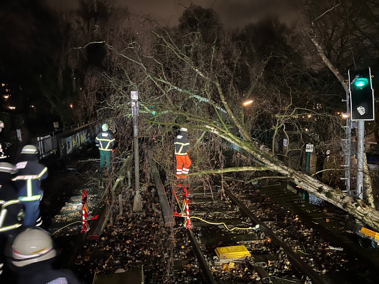 Hamburg: An der Station Sierichstraße stürzte ein Baum beinahe auf eine U-Bahn. 