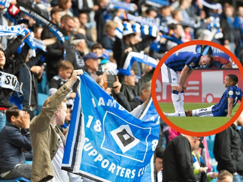 Hamburger SV (3).jpg