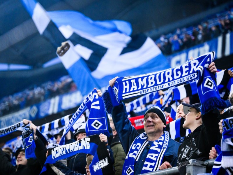 Hamburger SV.jpg