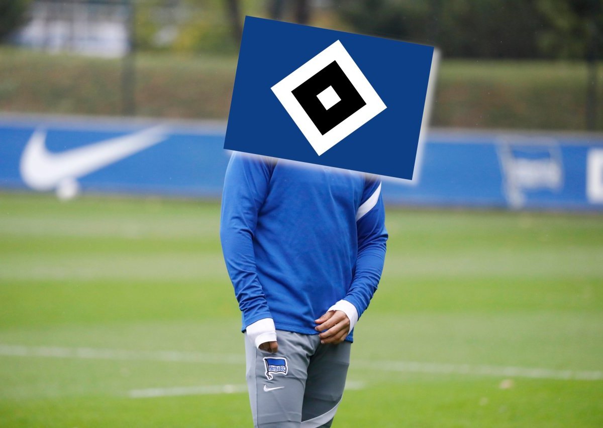 Hamburger SV Ben-Hatira.jpg