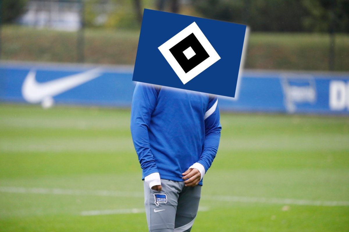 Hamburger SV Ben-Hatira.jpg