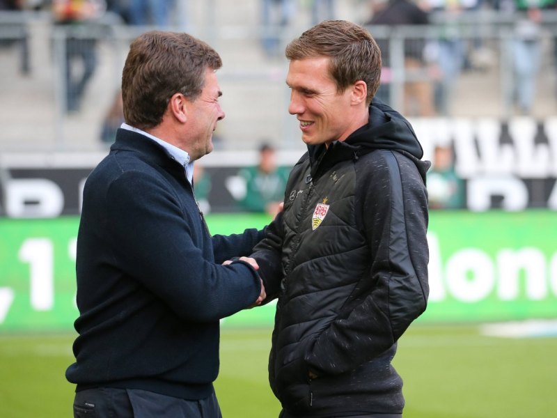 Hamburger-SV-Hecking-Wolf