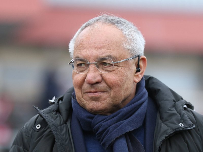 Hamburger-sv-felix-magath-kritik
