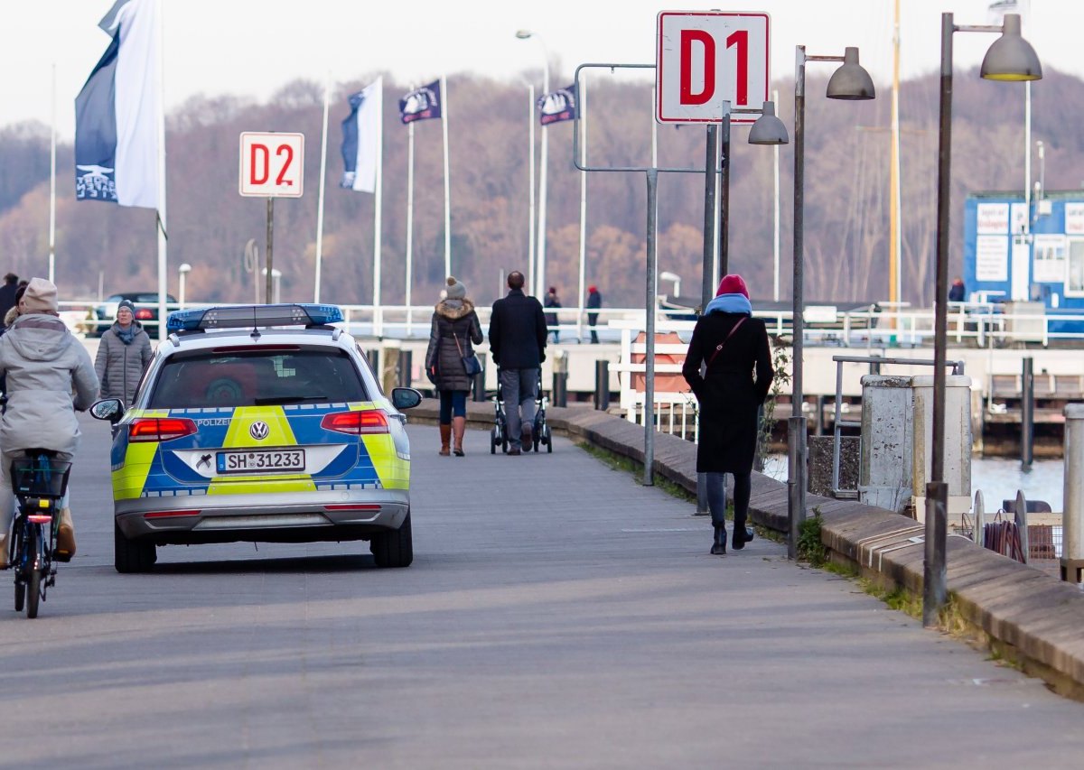 Kiel Seehund Kieler Förde Innenförde Wasserschutzpolizei Lebensraum Abstand