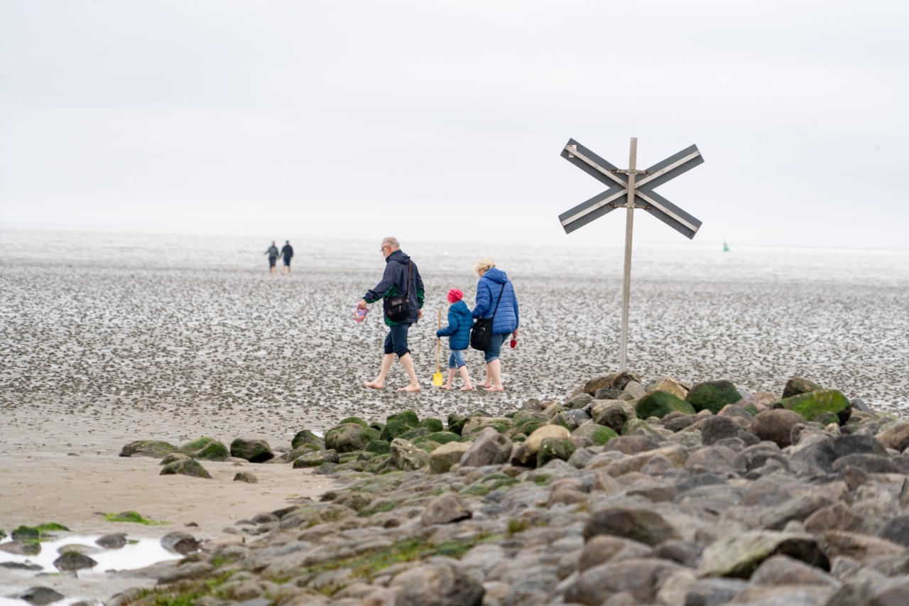 Meer: Menschen stapfen durch das Watt bei Büsum. 