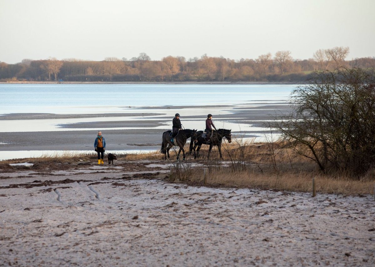 Meer Ostsee Strand.jpg