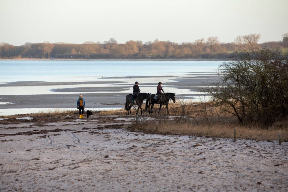 Meer Ostsee Strand.jpg