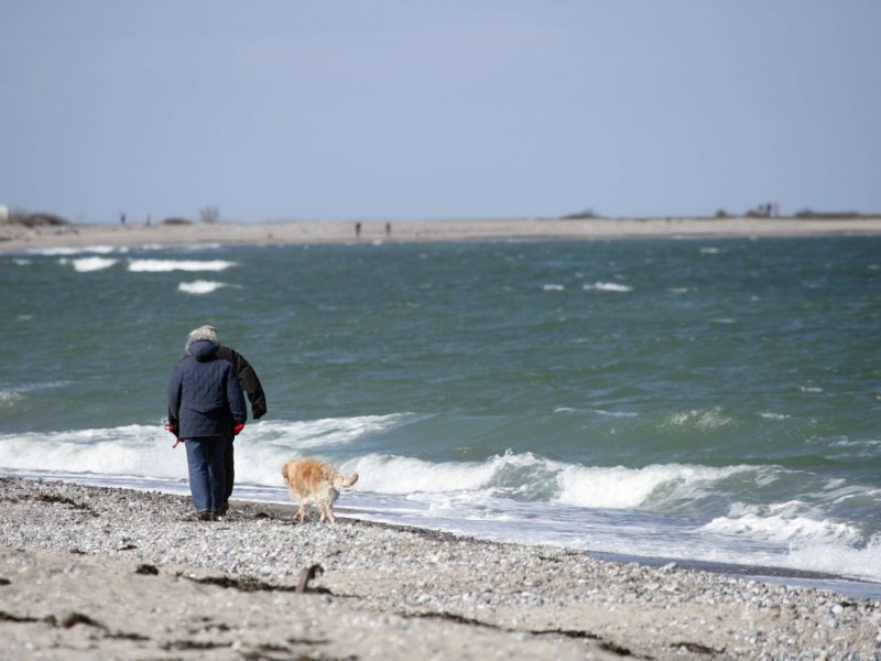 Nord bei Nordwest Schwanitz Fehmarn.jpg