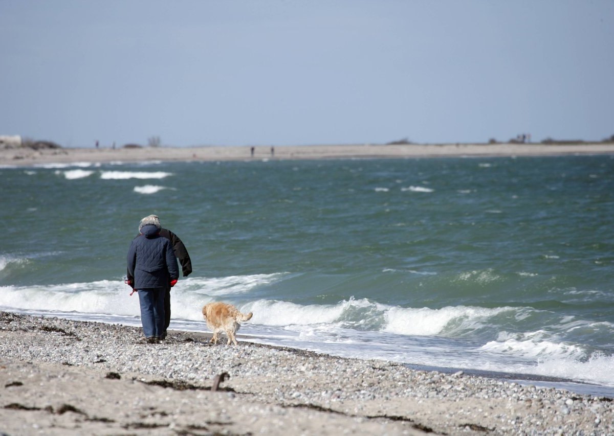 Nord bei Nordwest Schwanitz Fehmarn.jpg