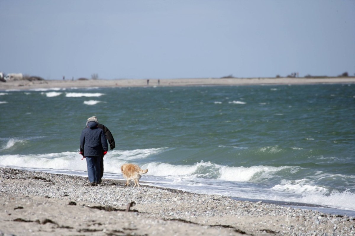 Nord bei Nordwest Schwanitz Fehmarn.jpg